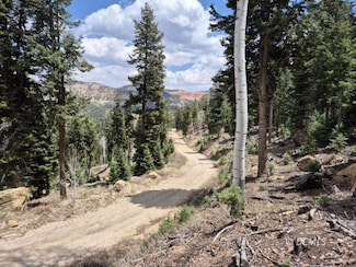 Lot 33,34 Bonnie Green, Duck Creek Village, UT 84762