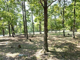 507 Henderson Rd, Clinton, AR 72031