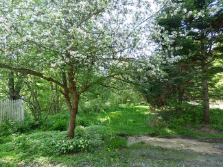 1772 Vermont 30, Townshend, VT 05343