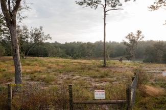 0-2 Lake Mildred Rd, Hawthorne, FL 32640