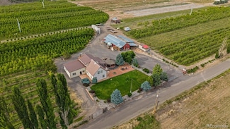 20809 Nowhere Rd, Eckert, CO 81418