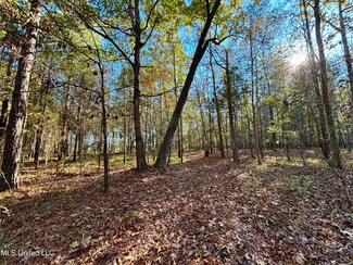 00 County Road 413, Houlka, MS 38850