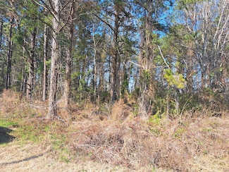 01 Sheard Dr, Santee, SC 29142