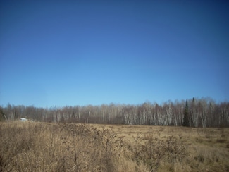 35.85 Acres County Road Jj Unit Pier Street, Merrill, WI 54452