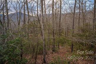 8 Wood Lily Trail Unit 14, Arden, NC 28704