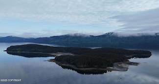 000 Dry Spruce Island, Port Lions, AK 99550