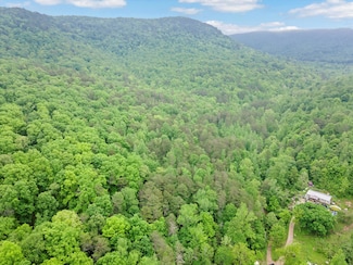 0 Egypt Hollow Rd, Trenton, GA 30752