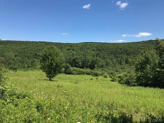 7482 Cold Brook Rd, Homer, NY 13077