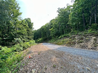 Lot 29 Katy Dr, Caldwell, WV 24925