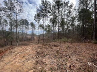 1240 Mcdavid Ln NE, Brookhaven, MS 39601