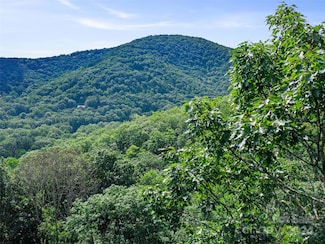 000 Falling Water Dr, Burnsville, NC 28714