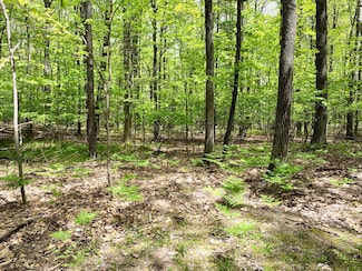 Lots 1-8 Adams Roosevelt, Roscommon, MI 48653