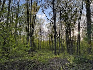 V/L Lot Alps Dr, Cedar Township, MI 49677