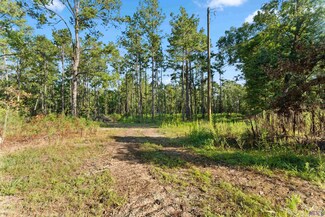 Tract Y1A1A1A5 Nesom Rd, Clinton, LA 70722