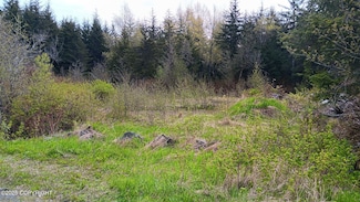 000 Sawmill Creek Rd, Haines, AK 99827
