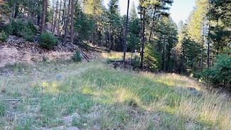 0 Lodge Spring Rd Unit 170767, Cloudcroft, NM 88317