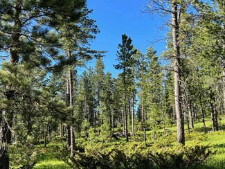 Lot 7 Boles Canyon Rd, Lead, SD 57754