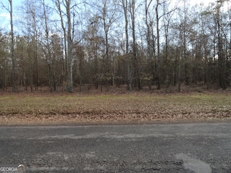 1207 Highway 36 W, Barnesville, GA 30204