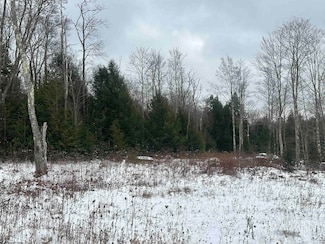 Lot 85 Gondola Ct, Davis, WV 26260