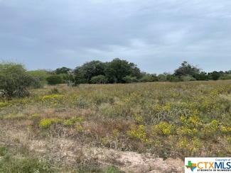 0 Farm To Market 236, Victoria, TX 77905