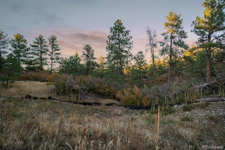 11011 Sunset Oaks, Franktown, CO 80116