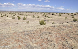 23G S Powerline Rd, Taylor, AZ 85939
