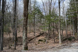 0 Mountain Rd Unit 4804161, Newbury, NH 03255