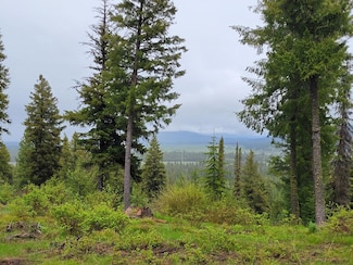 71 Coit Dr Unit 3, Cascade, ID 83611