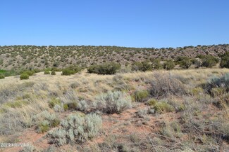 4459 Silver Hawk Trail Unit 203, Snowflake, AZ 85937