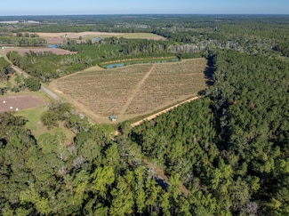 136 Harmony Rd, Meigs, GA 31765