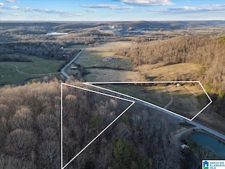 000 Rocky Hollow Rd Unit 10, Blountsville, AL 35031