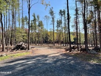 L12 Cr 353, Rensselaerville, NY 12147