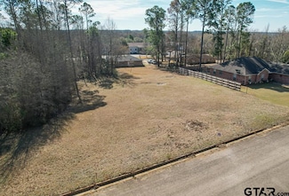 227 Trail Hollow Ln, Palestine, TX 75801