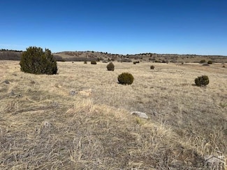 00 Birch Dr, Colorado City, CO 81069