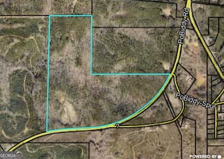 40 ACRES Po Biddy Rd, Thomaston, GA 30286