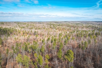 0 Tbd Delbridge Rd, Potosi, MO 63664