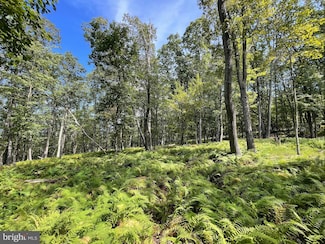 49 Alpine Dr, Zion Grove, PA 17985