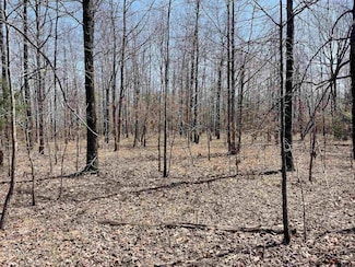 001 Dabney Rd, Jerusalem, AR 72080