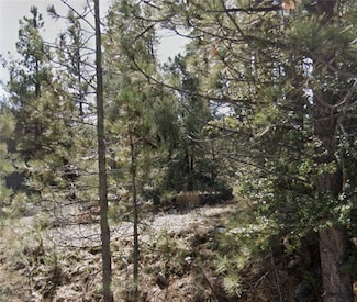 16021 Mil Potrero Fire Rd, Frazier Park, CA 93222