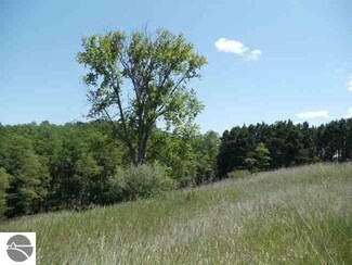 4685 S Good Harbor Trail Unit C, Cedar, MI 49621
