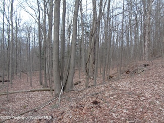 0 Carl Sunset Ln, Spring Brook Township, PA 18444