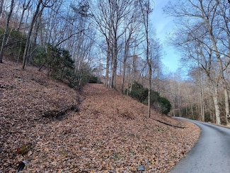 Lot 9 Cherokee Cir, Ellijay, GA 30536