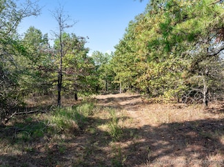 57 N 4249 Ln, Antlers, OK 74523