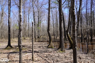 000 Hwy 167 N, Fordyce, AR 71742