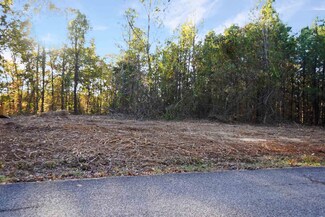 22 Cottrell Ridge Rd, Dover, TN 37058