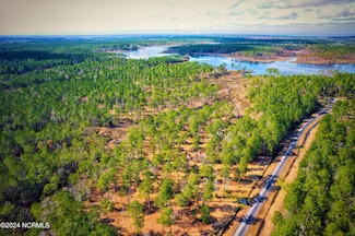203 Paradox Point Dr, Aurora, NC 27806