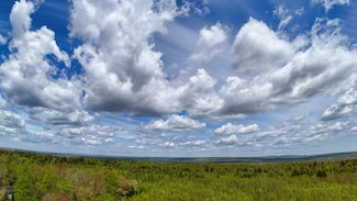 Lot 4 E Ridge Rd, Cooper, ME 04657
