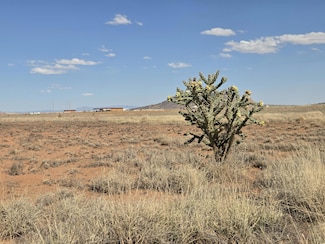 49 Fruita Rd Unit 3A, Laguna, NM 87026