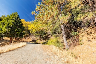 10-acres Freegold Dr, Camino, CA 95709