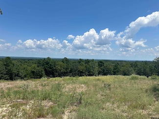 10791 Cr 3407, Brownsboro, TX 75756